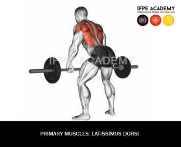Barbell Bent Over Row - IFPE Academy