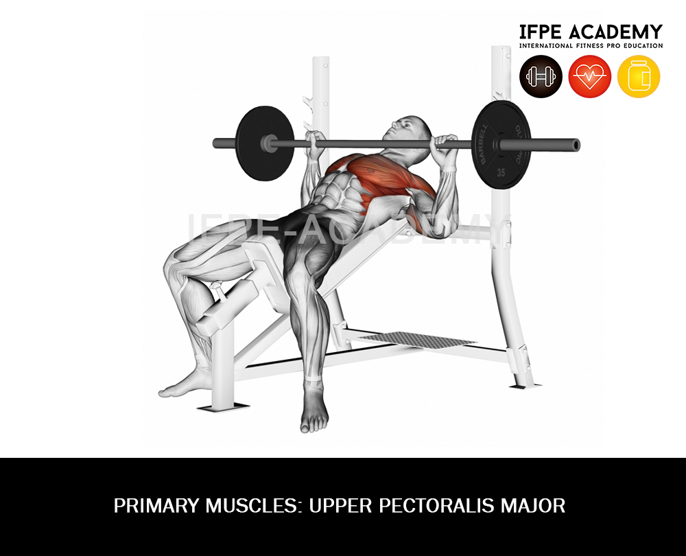 Barbell incline Press