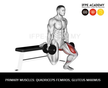 Barbell Hip Thrust - IFPE Academy