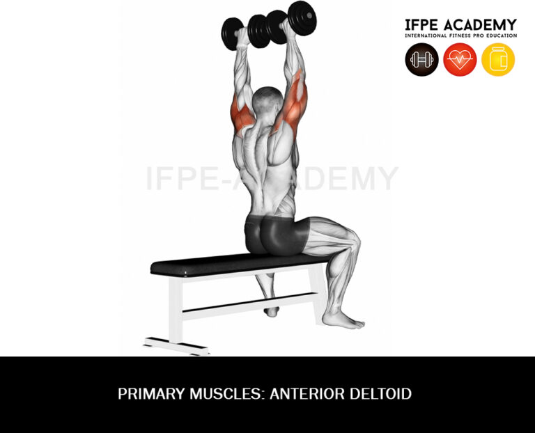 Dumbbell Shoulder Press (standing) IFPE Academy
