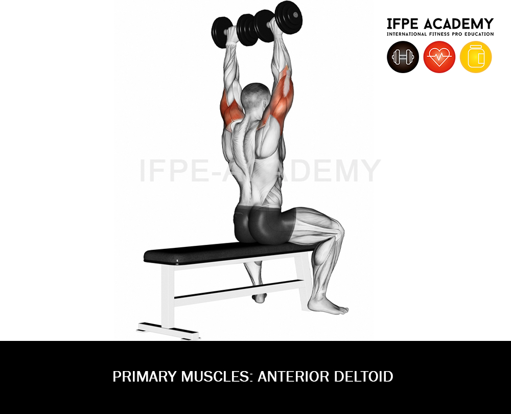 Standing Shoulder Press Dumbbell Muscles Worked