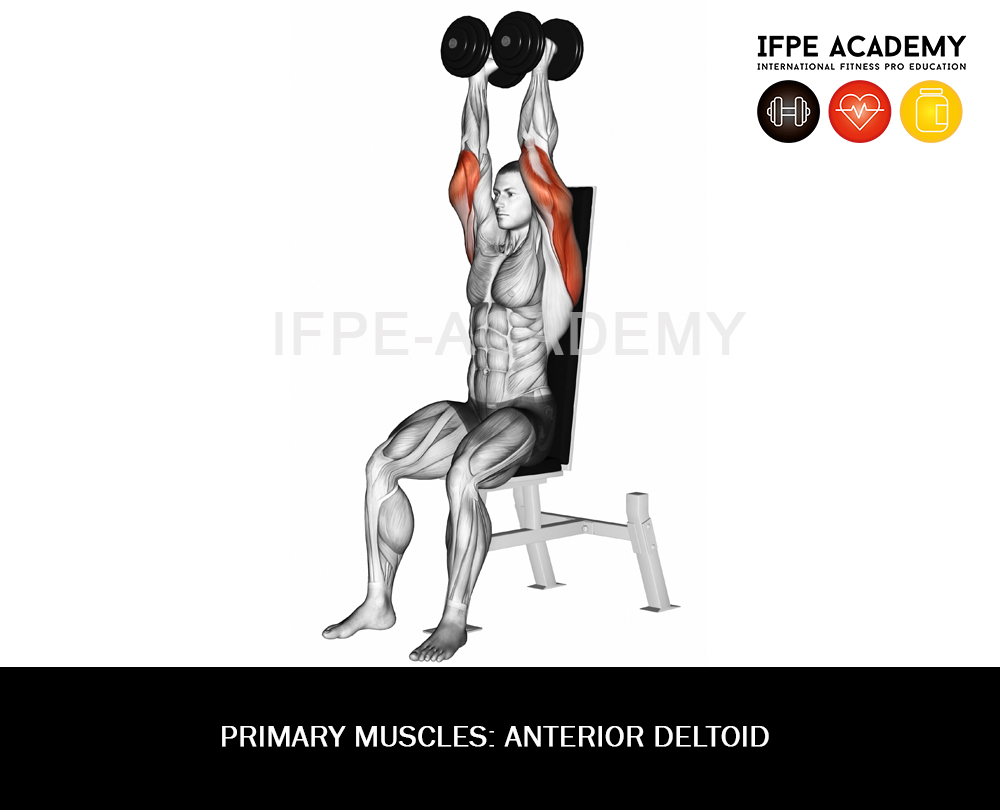 DUMBBELL SHOULDER PRESS