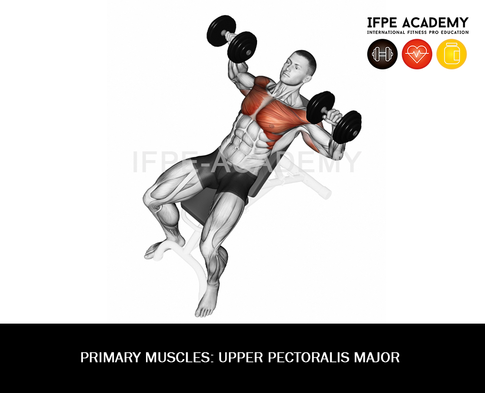 Dumbbell incline Press