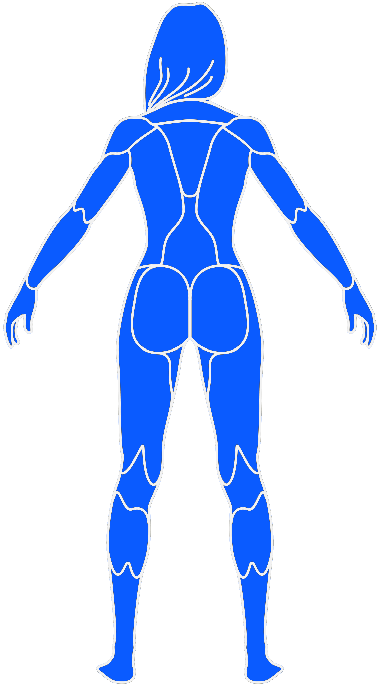 IFPE-Figures-Female2