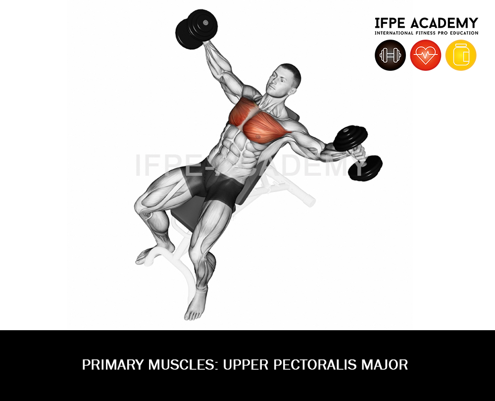 Incline Dumbbell Fly