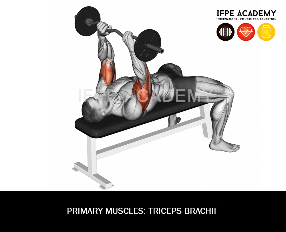 Lying Barbell Triceps Extensio