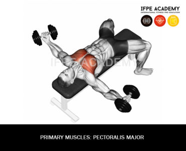 Pectoralis Major - IFPE Academy