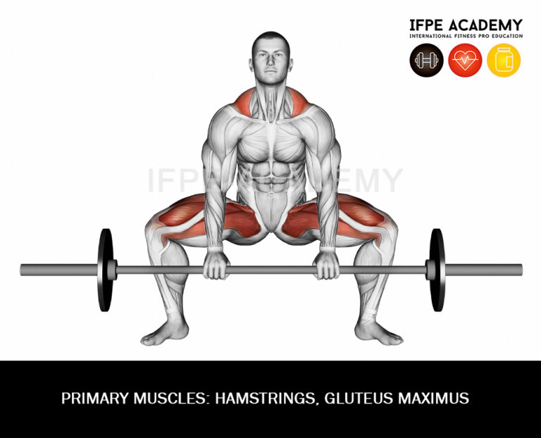 Sumo Deadlift IFPE Academy