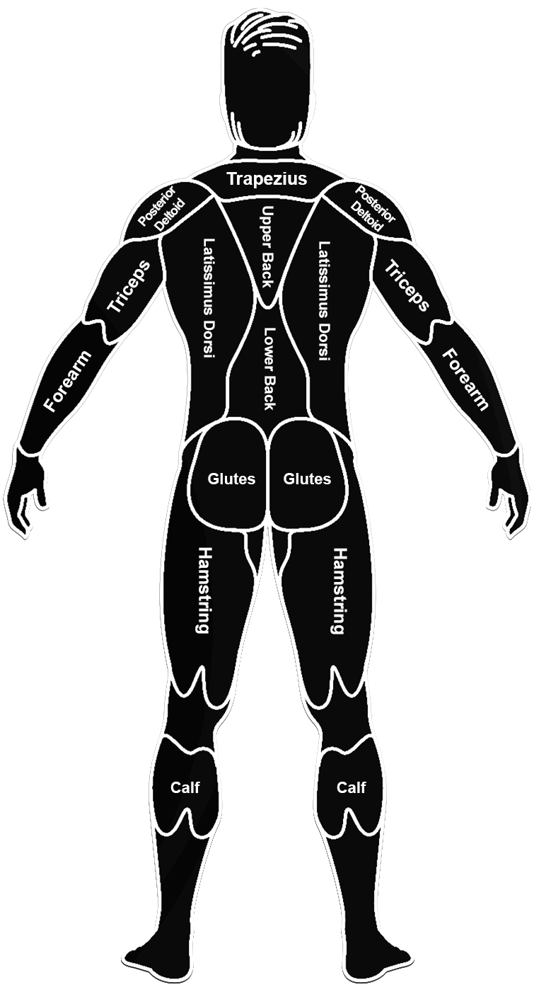 IFPE-Figures-Men2