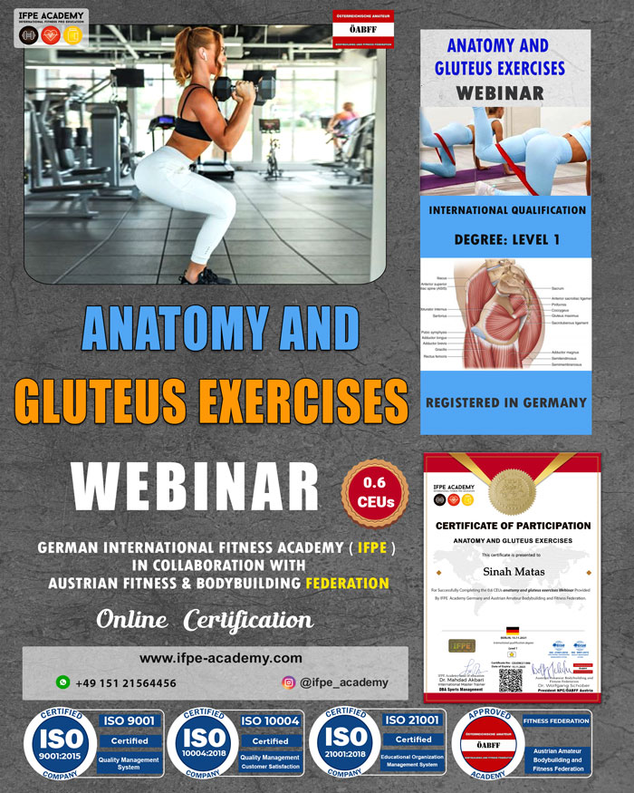 anatomy-and-gluteus-exercises