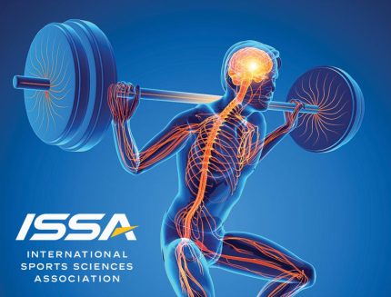 Brain Fitness Coach