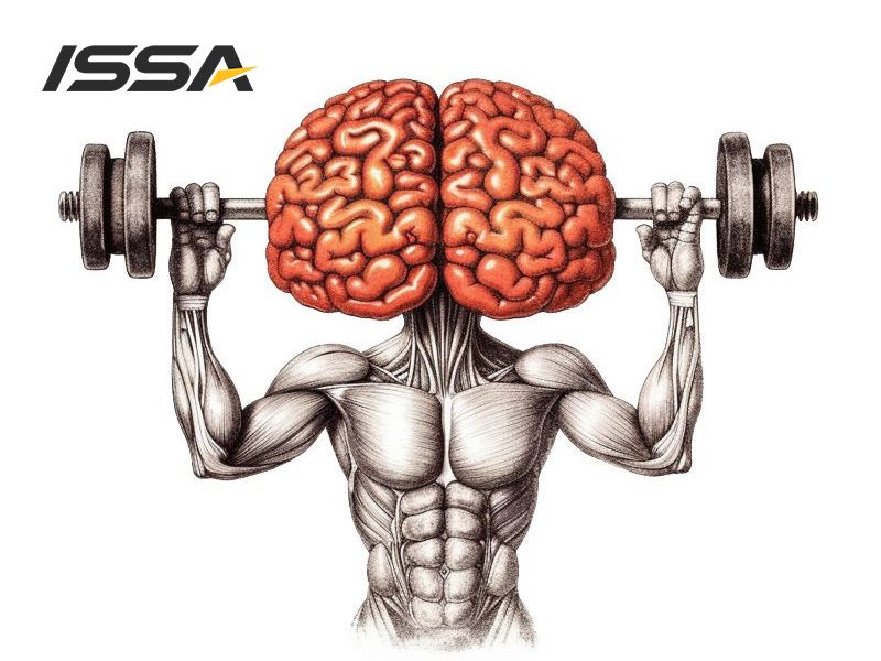 Brain-Fitness-Coach3